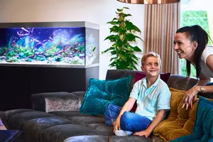 New shoot 2025 
Aquarium, Ankum