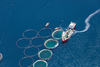 Aerial view of fish farm
522329752
Horizon Over Land, Horizon Over Water, Candid, No People, Catch of Fish, Fishing Industry, Fish Farm, Floating On Water, Wave Pattern, Landscaped, Kalymnos, Coastline, Color Image, Construction Frame, Freshness, Development, Growth, Circle, Blue, Industry, Environment, Construction Industry, Business, Agriculture, Nature, Aerial View, High Angle View, Image, Europe, Aquatic Mammal, Fish, Bay Of Water, Horizon, Landscape, Sky, Mediterranean Sea, Sea, Water's Edge, Wave, Water, Farm, Factory, Built Structure, Commercial Fishing Net, Seafood, Food, Waving, Mediterranean Culture, Aquaculture, Ship