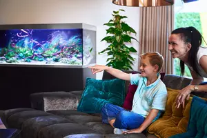 New shoot 2025 
Aquarium, Ankum