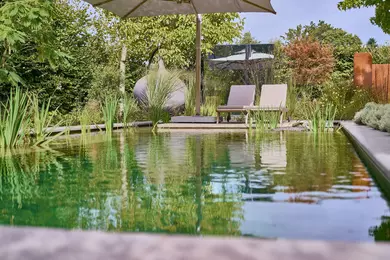 New shoot 2025 
Davit Arican, Moers – Natural Swim Pond